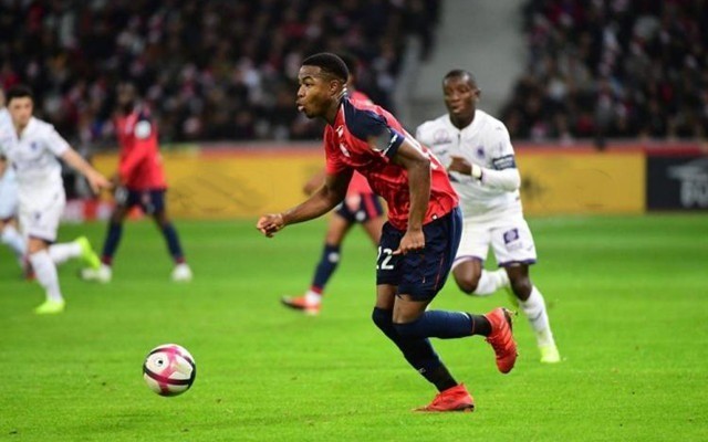 田这一世界 田这一世界