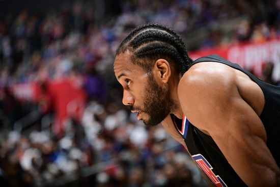 执掌荷兰队 执掌荷兰队